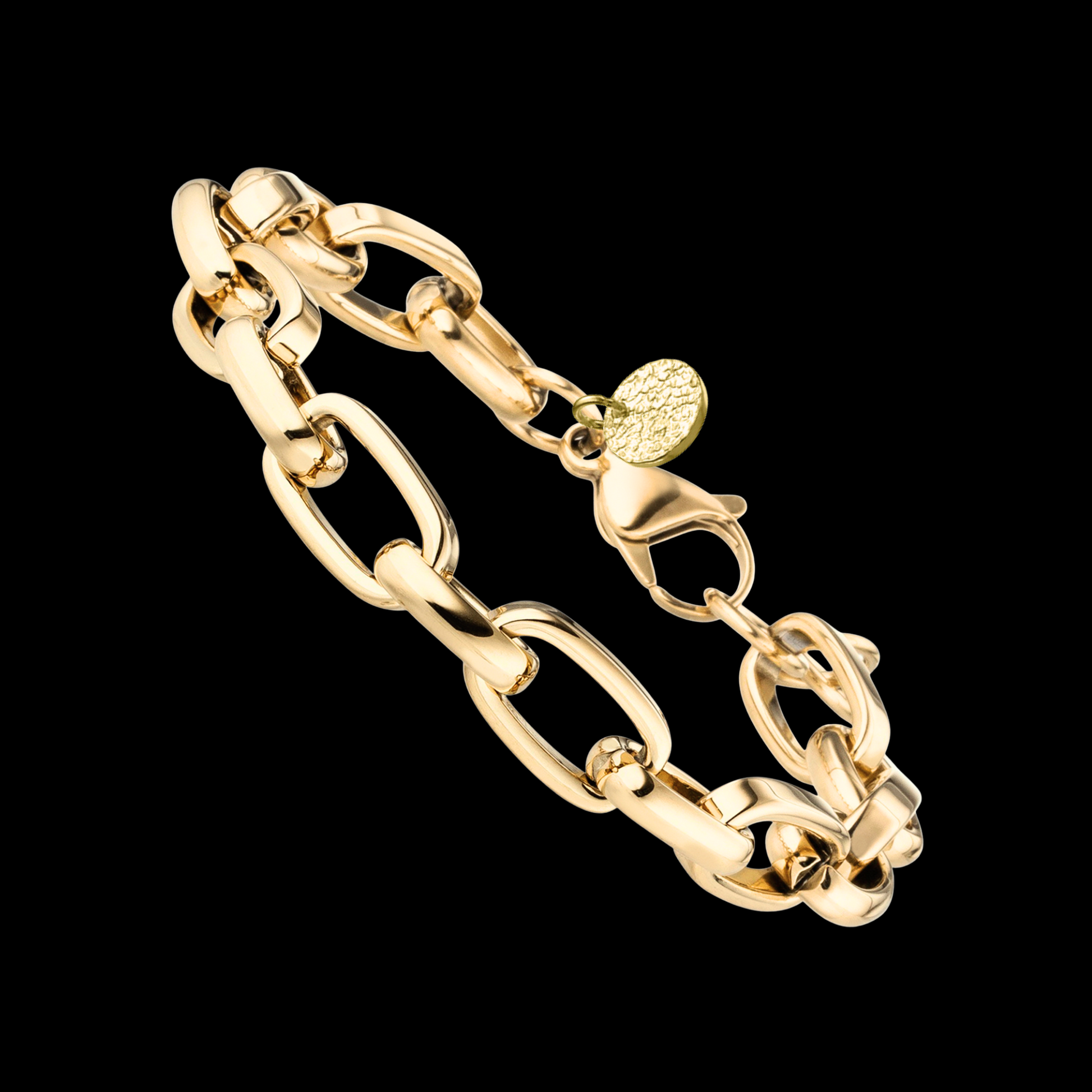 Exklusive breite goldfarbene Armkette aus Edelstahl. Die Kettenglieder sind breit und glänzend. Das Armband hat einen Karabinerverschluss, an einem Ende der Armkette ist ein 10mm gehämmertes rundes Plättchen aus vergoldetem Silber angebracht. Edelstahlschmuck von Hug the Lioness aus Österreich.